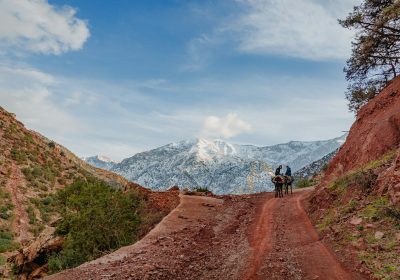 Shared Day Trip to Ourika Valley & Atlas Mountains